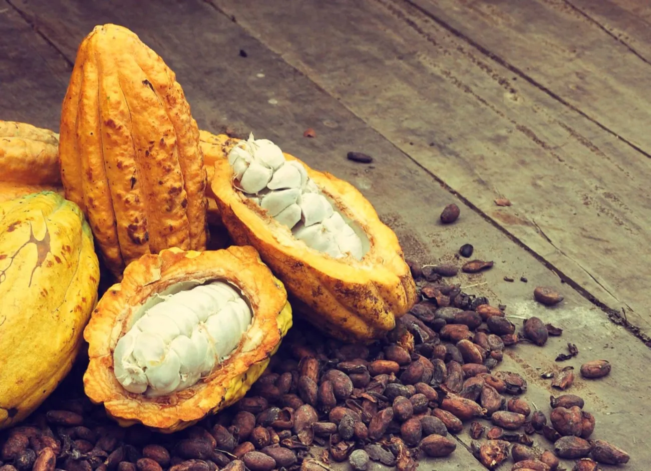 reducción producción cacao costa rica