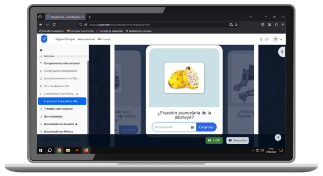 curso para importar exportar aduana méxico